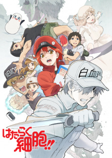 Hataraku Saibou 2nd Season